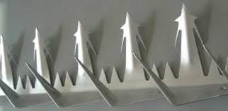Has Our Wall Spike Tempted You Or Not Искушал ли вас наш настенный шип или нет?