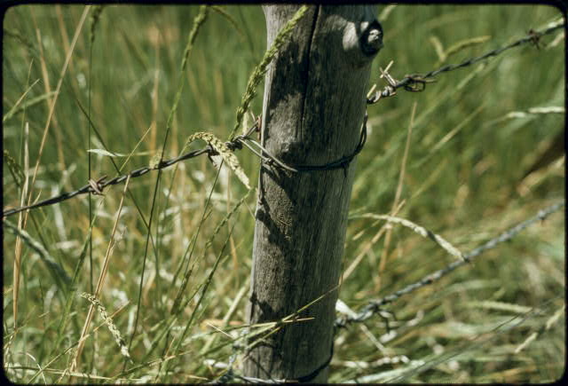Our Barbed Wire With Military Is Not Only For Military Наша колючая проволока с военными предназначена не только для военных
