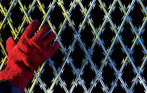 Welded Razor Wire Mesh Сварная колючая сетка