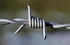 Barbed Wire Is the Realistic “Handssors” Колючая проволока – это настоящий «рукопожатник»