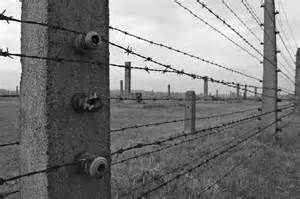 Barbed Wire Is the Realistic “Handssors” Колючая проволока – это настоящий «рукопожатник»