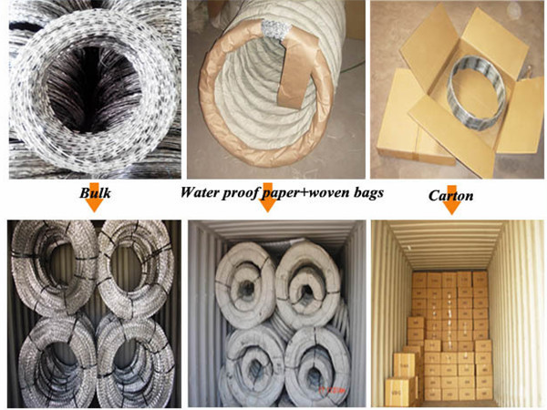 The introduce of zhengyang Concertina Razor Wire Представление zhengyang Concertina Razor Wire