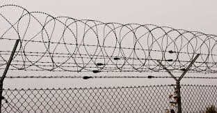 Barbed wire-giving you the most cost-effective security protection Колючая проволока обеспечивает наиболее экономичную защиту безопасности