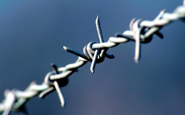 Barbed Wire Колючая проволока