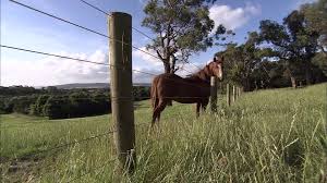 barbed wire колючая проволока