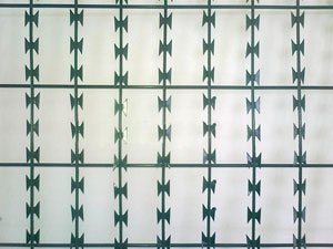 Спецификация и применение колючей проволоки с прямой бритвой