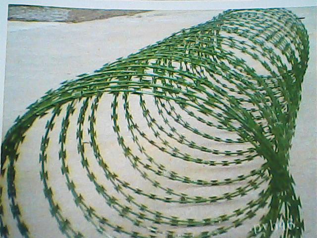 Знакомство с Хэйбэй Чжэнъян