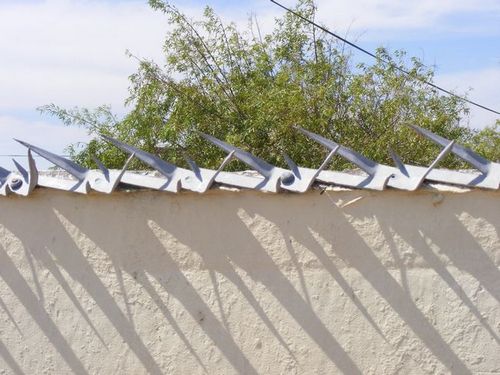 Настенный шип