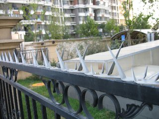 Продаются острые настенные шипы.