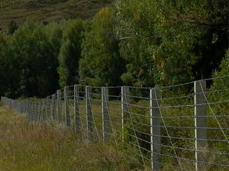 Колючая проволока