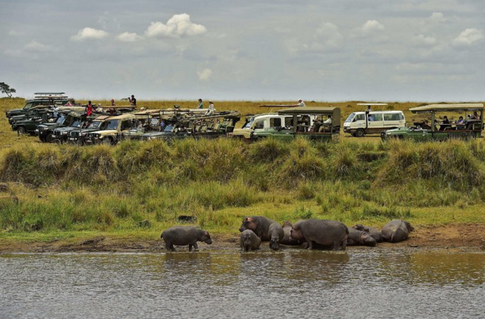 колючая проволока