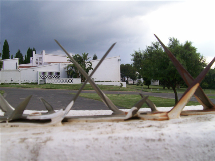 Введение настенных шипов