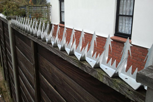 настенный шип