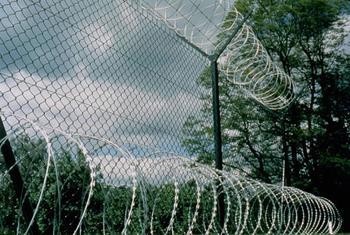 4605510_20130409115237